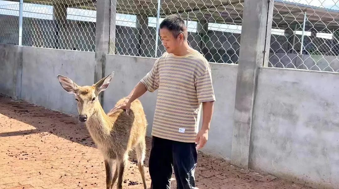 充值10元棋牌